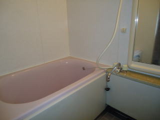 賃貸　鋸南町アパート　サニーフラット301　浴室