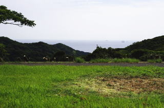 富士見ヶ丘別荘地　敷地写真